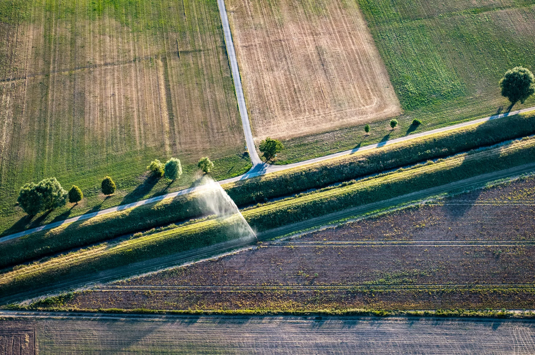 Irrigation et gestion de l’eau en agriculture